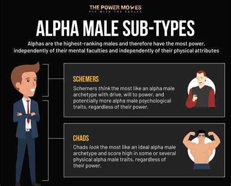 evaluative alphas have fake clothes - 9 things alpha males do that seem weird to others (but really are .